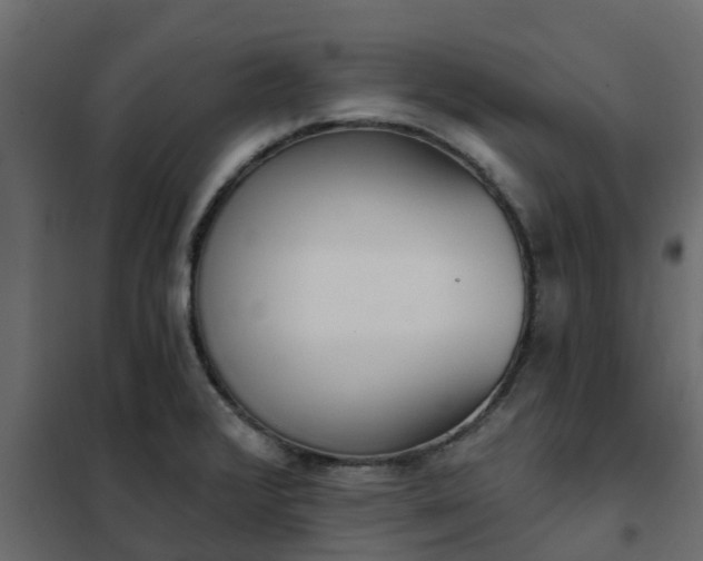 X0000102351376200808081144