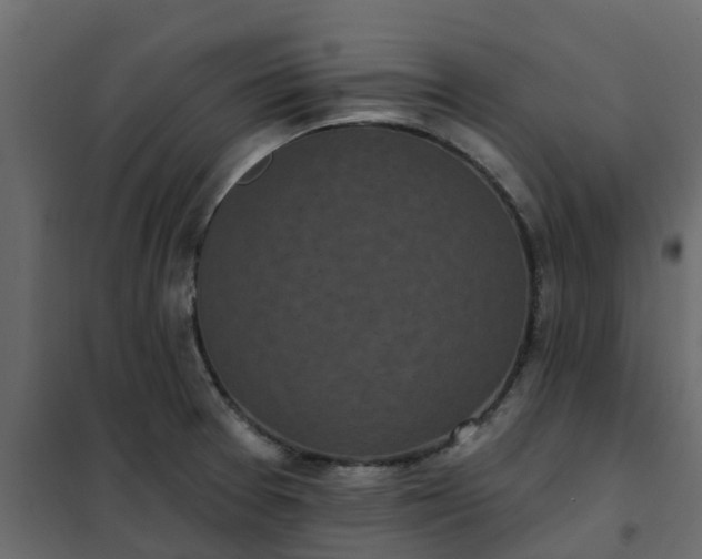 X0000102351377200808081144