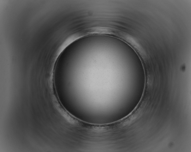 X0000102351378200808081144