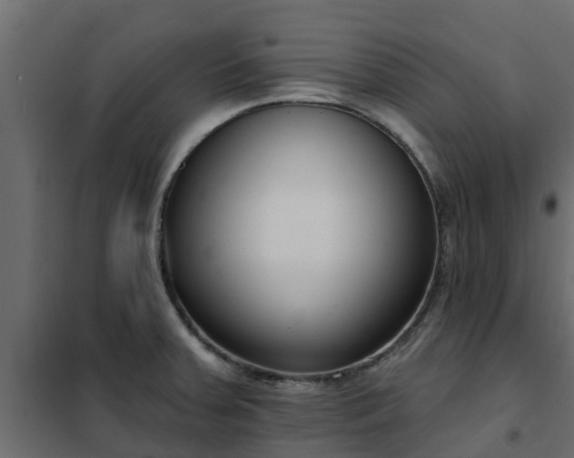 X0000102351379200808081144