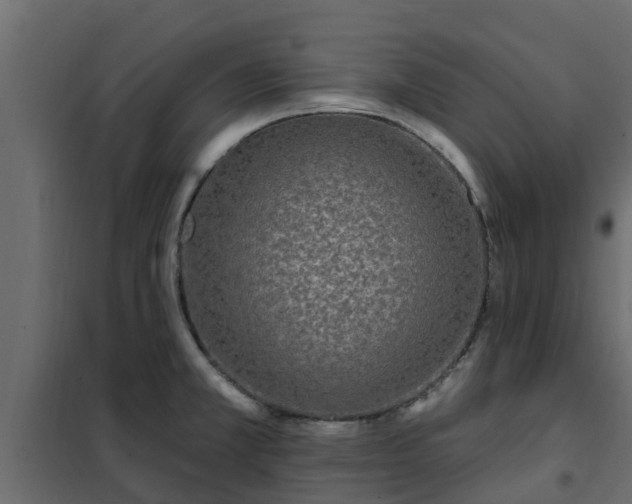 X0000102351381200808081144