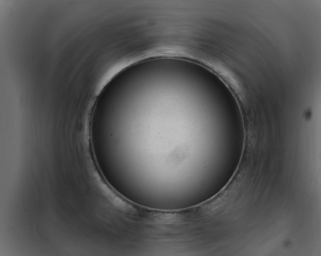 X0000102351382200808081144