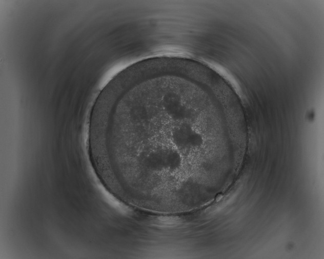 X0000102351383200808081144