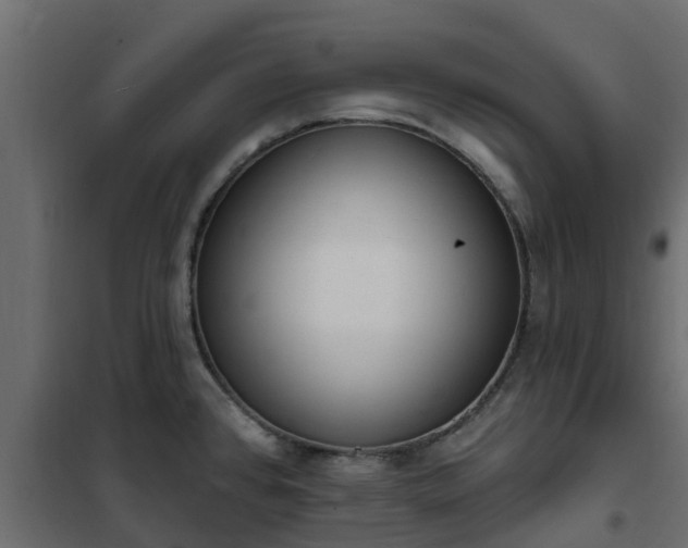 X0000102351384200808081144