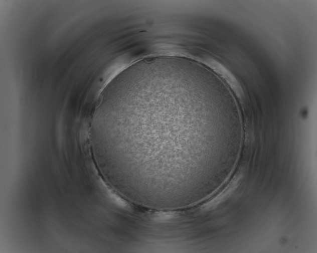 X0000102351385200808081144