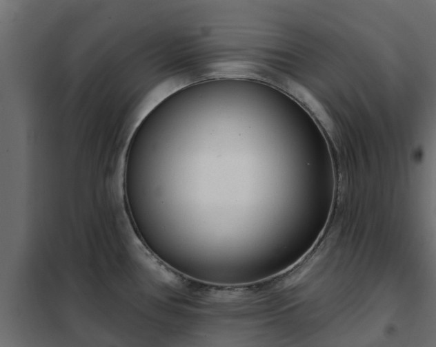 X0000102351386200808081144