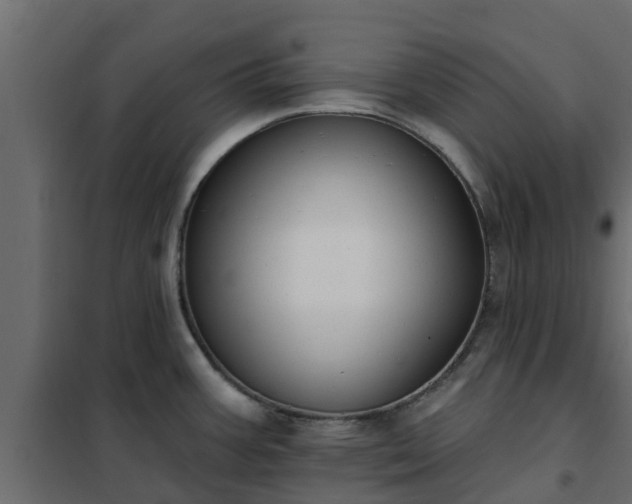 X0000102351387200808081144