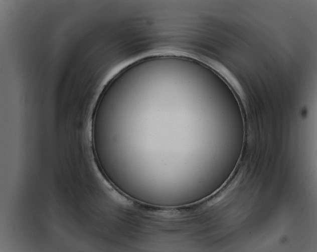 X0000102351388200808081144