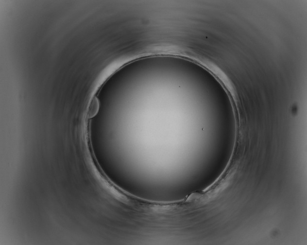 X0000102351389200808081144