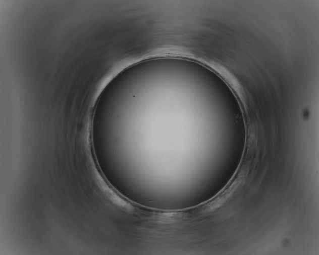 X0000102351390200808081144