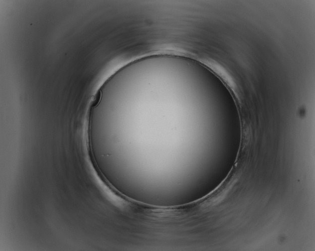 X0000102351391200808081144