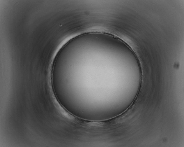 X0000102351392200808081144