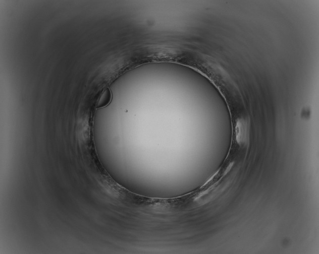 X0000102351395200808081144