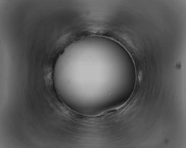 X0000102351396200808081144