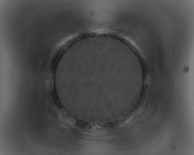 X0000102351398200808081144