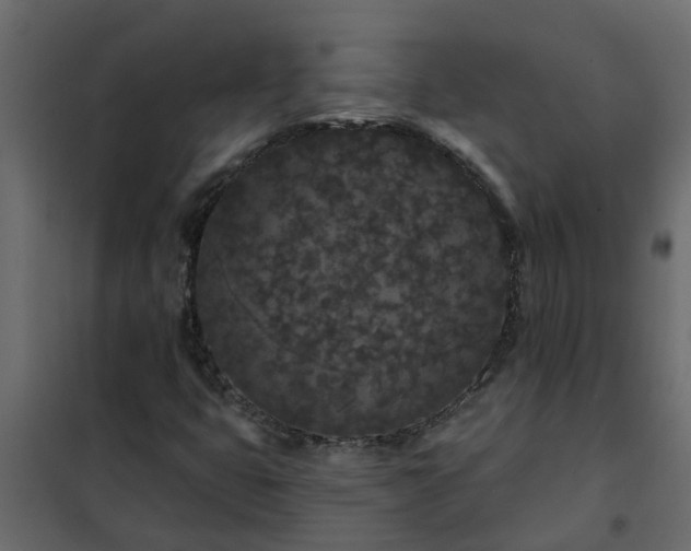 X0000102351399200808081144