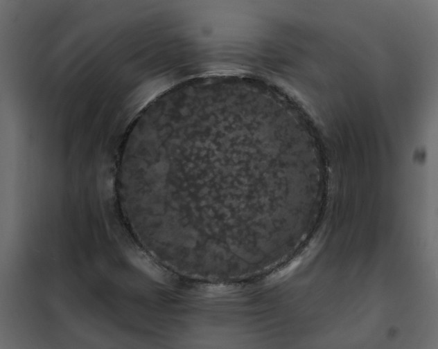 X0000102351401200808081144