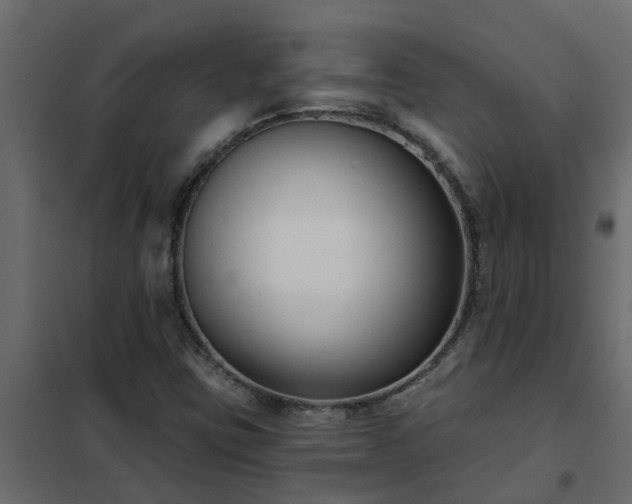 X0000102351403200808081144