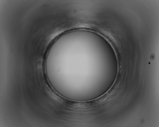 X0000102351404200808081144