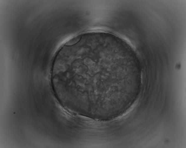 X0000102351405200808081144