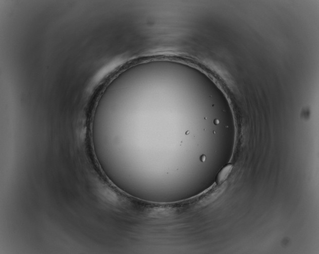 X0000102351406200808081144