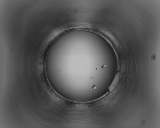 X0000102351407200808081144