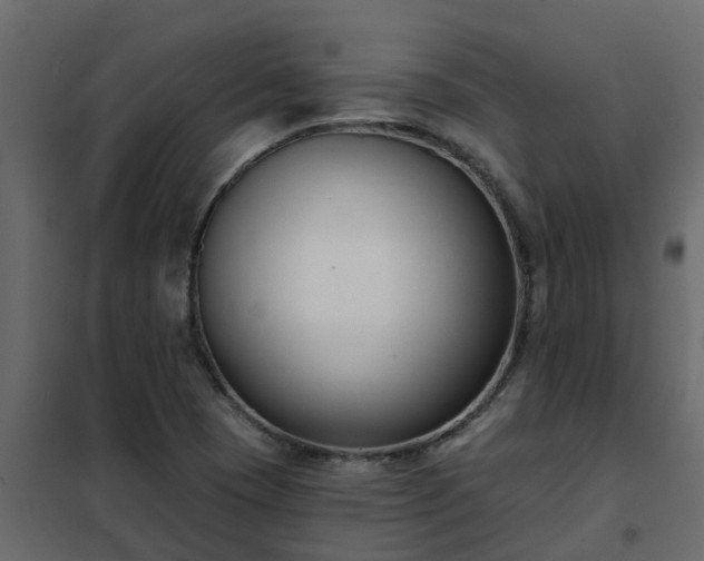 X0000102351409200808081144