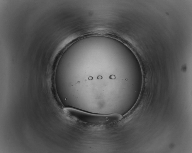 X0000102351410200808081144