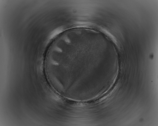 X0000102351411200808081144