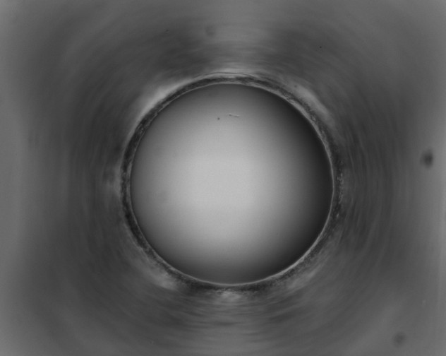 X0000102351412200808081144