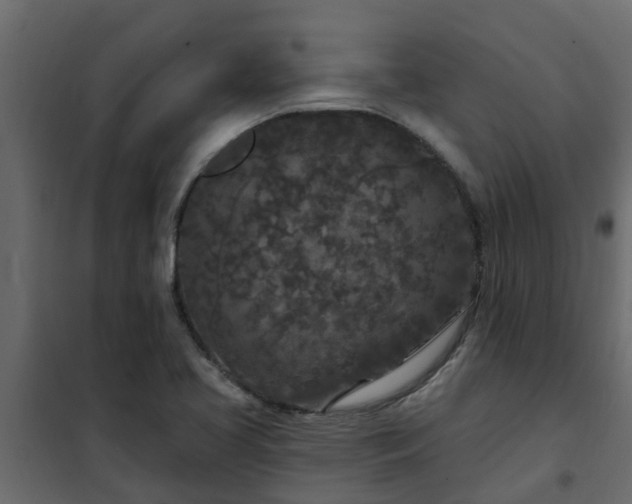 X0000102351413200808081144