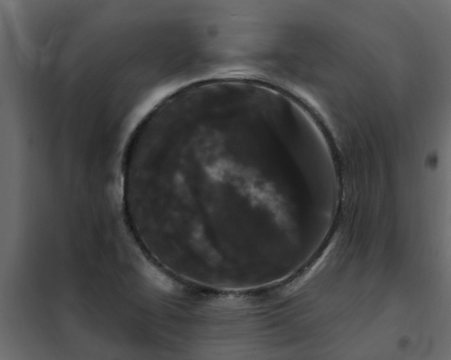 X0000102351414200808081144