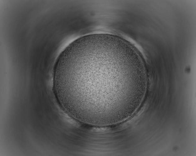 X0000102351415200808081144