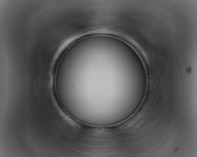 X0000102351416200808081144