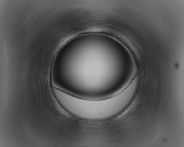 X0000102351417200808081144