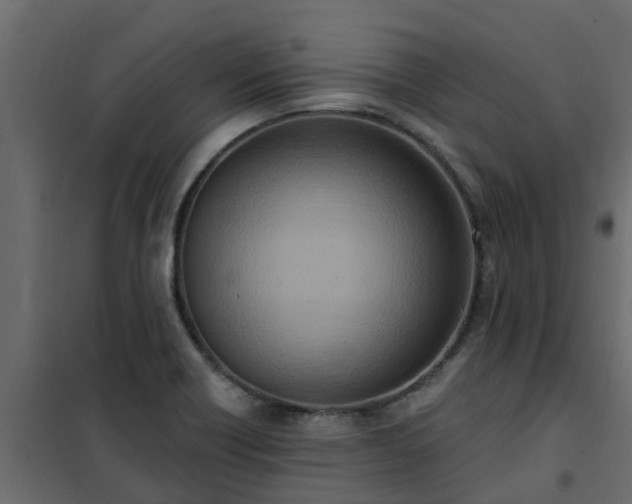 X0000102351418200808081144