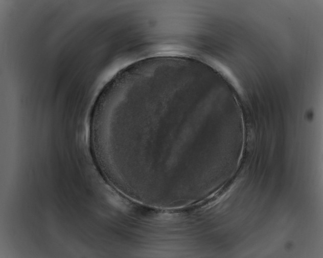 X0000102351419200808081144