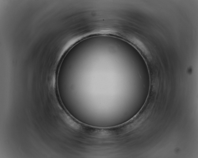 X0000102351420200808081144