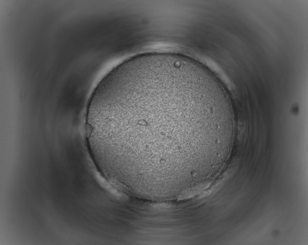 X0000102351421200808081144