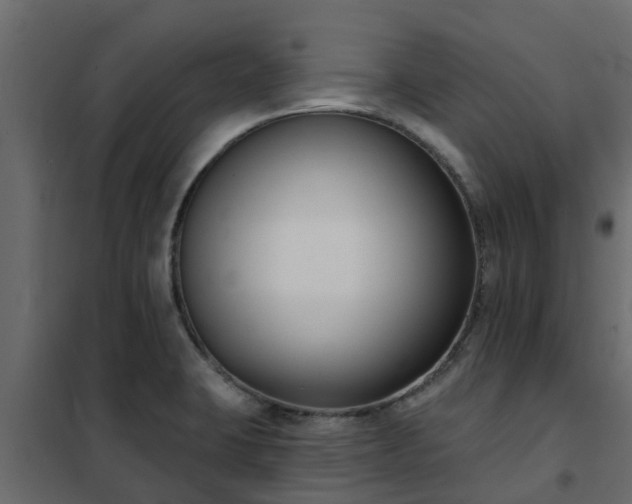 X0000102351423200808081144