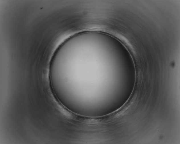 X0000102351424200808081144