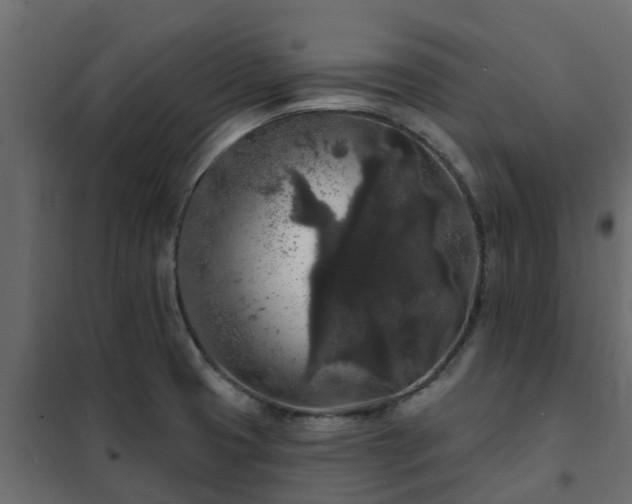 X0000102351425200808081144