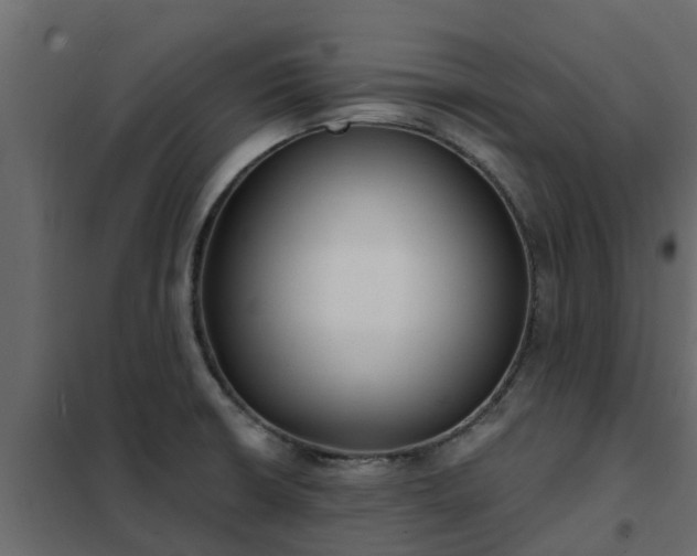 X0000102351426200808081144