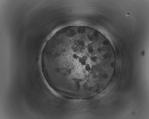 X0000102351429200808081144