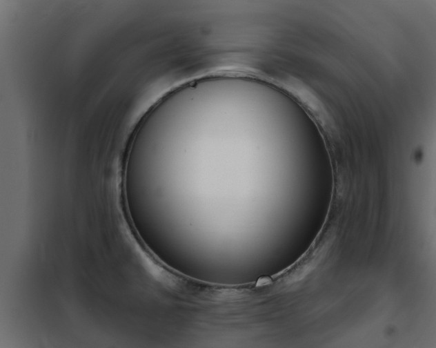 X0000102351430200808081144