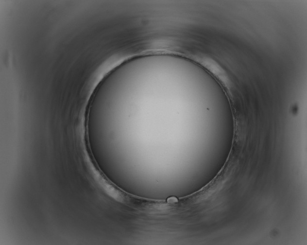 X0000102351431200808081144