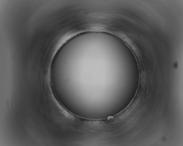 X0000102351432200808081144