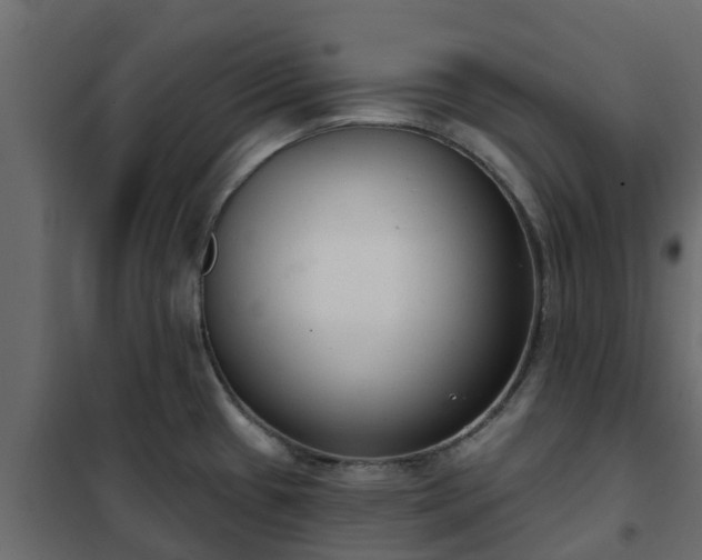 X0000102351433200808081144