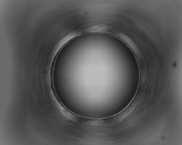 X0000102351434200808081144