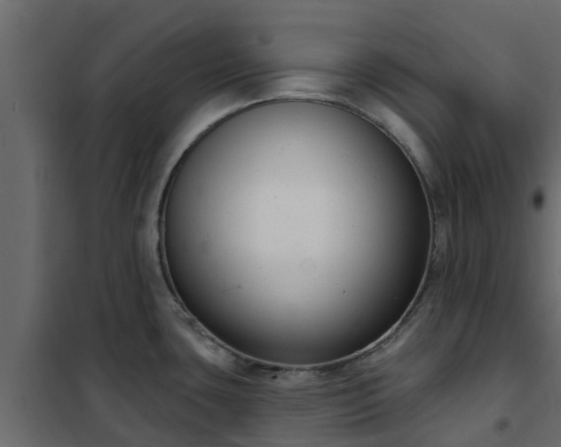 X0000102351435200808081144